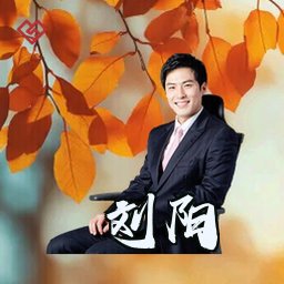 刘阳
