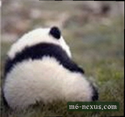 赵敏